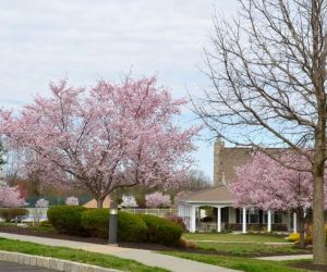 Clubhouse in the Springtime