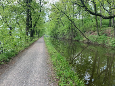 Delaware Canal Cleanup