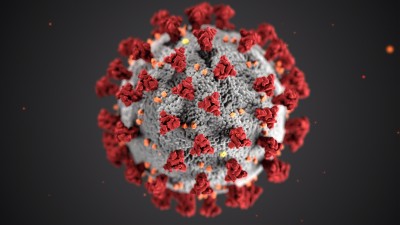 Covid Virus, a Short Review-Quest for Knowledge