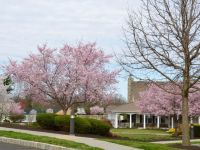 Clubhouse in the Springtime